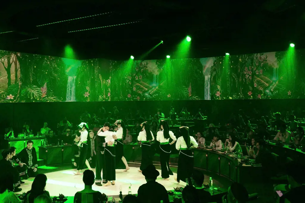 Performers in traditional ethnic attire dance on a circular stage illuminated by green spotlights in front of a seated audience.