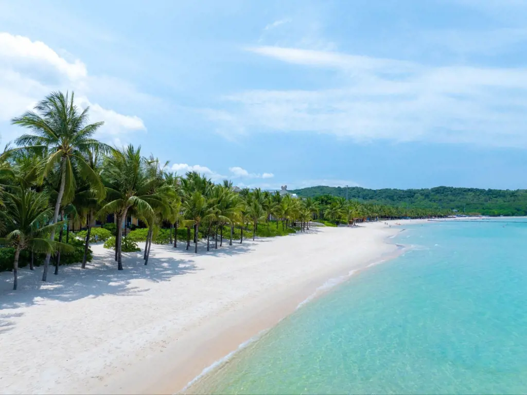 High-angle view of a tropical white sand beach with clear turquoise ocean water and coconut palm trees in Phu Quoc, Vietnam.