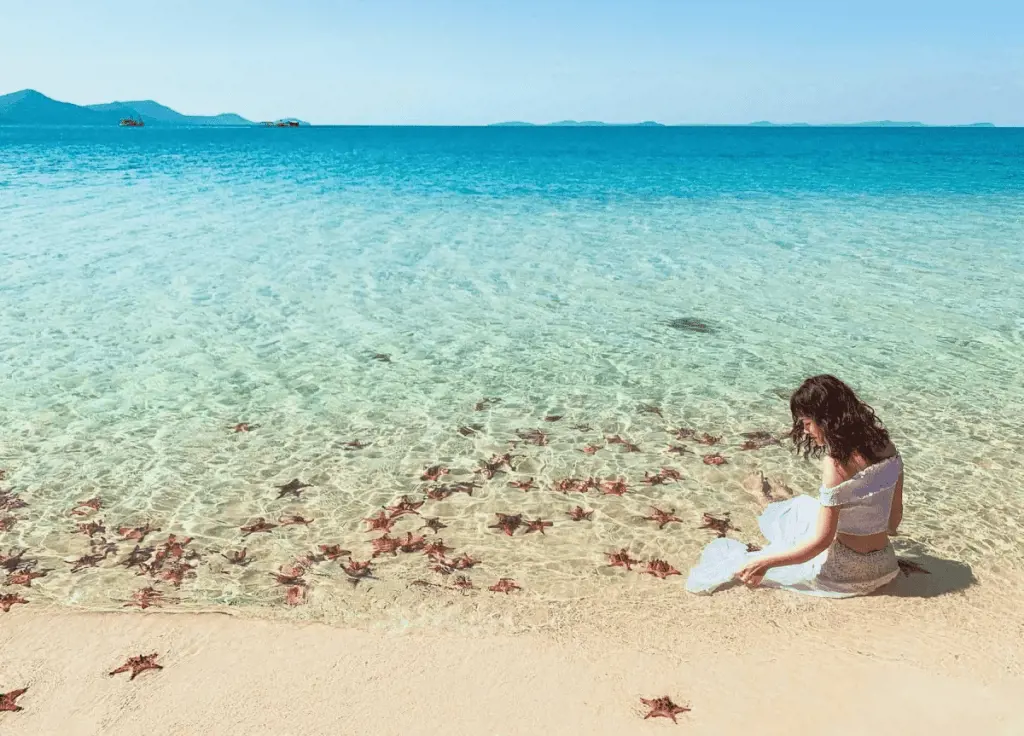 A woman in a white dress sitting on a sandy beach near clear turquoise water filled with red starfish.