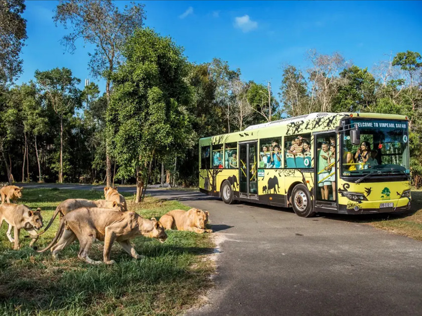 Vinpearl safari Phú Quốc